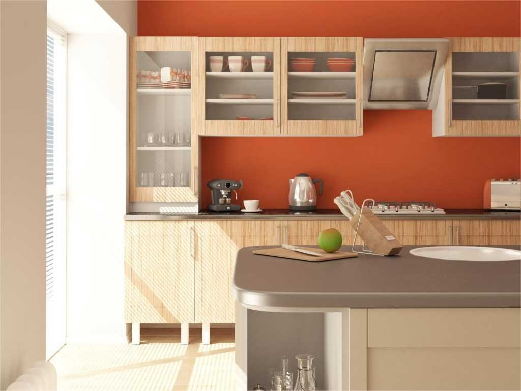 Contemporary Kitchen Modular Kitchen